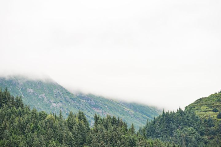 Low cloud spilling over a green mountain ridge and down into spruce timber, the top of the frame gone white with fog.