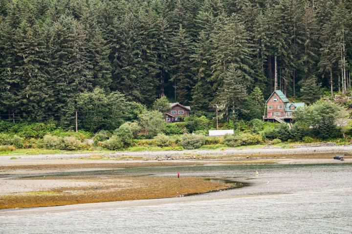 Two houses tucked into dense spruce above a broad gravel tide flat at low water, one weathered red and one green with a steep roof.